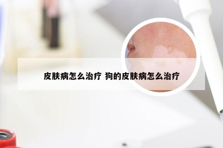 皮肤病怎么治疗 狗的皮肤病怎么治疗