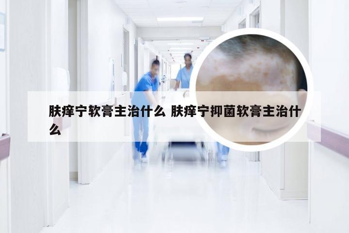 肤痒宁软膏主治什么 肤痒宁抑菌软膏主治什么