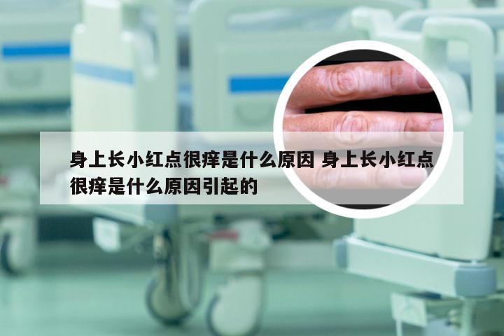 身上长小红点很痒是什么原因 身上长小红点很痒是什么原因引起的