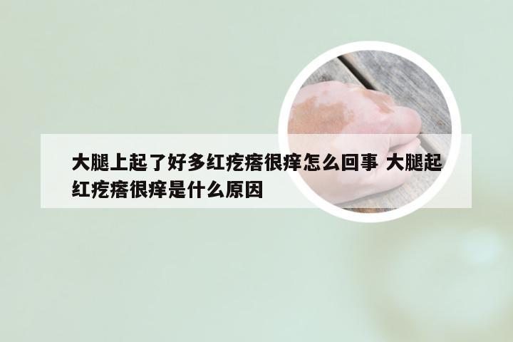 大腿上起了好多红疙瘩很痒怎么回事 大腿起红疙瘩很痒是什么原因