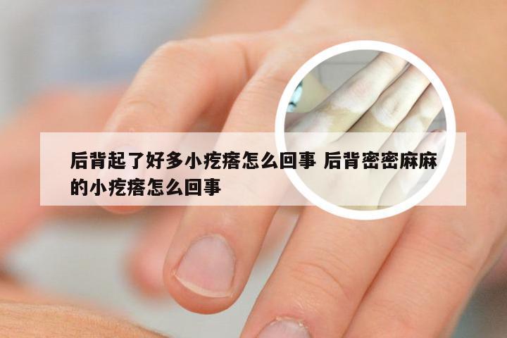 后背起了好多小疙瘩怎么回事 后背密密麻麻的小疙瘩怎么回事