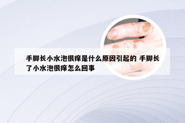 手脚长小水泡很痒是什么原因引起的 手脚长了小水泡很痒怎么回事