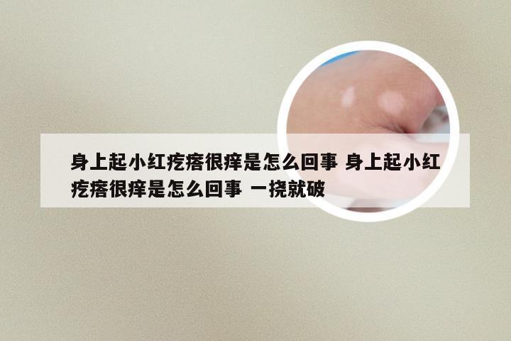 身上起小红疙瘩很痒是怎么回事 身上起小红疙瘩很痒是怎么回事 一挠就破