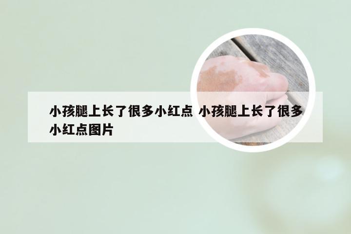 小孩腿上长了很多小红点 小孩腿上长了很多小红点图片