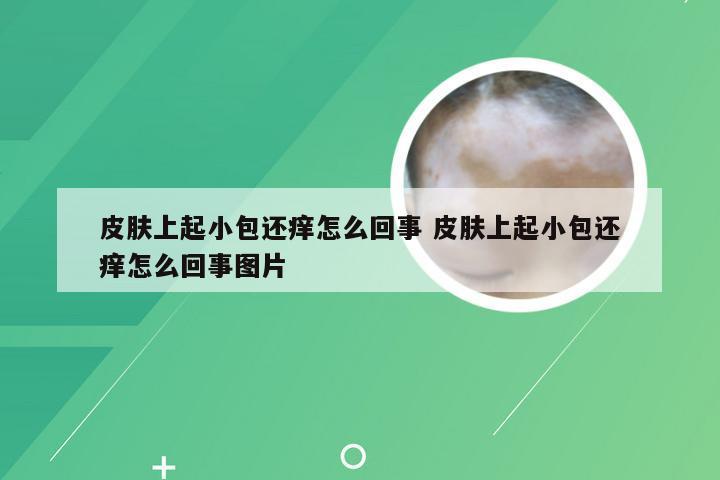 皮肤上起小包还痒怎么回事 皮肤上起小包还痒怎么回事图片