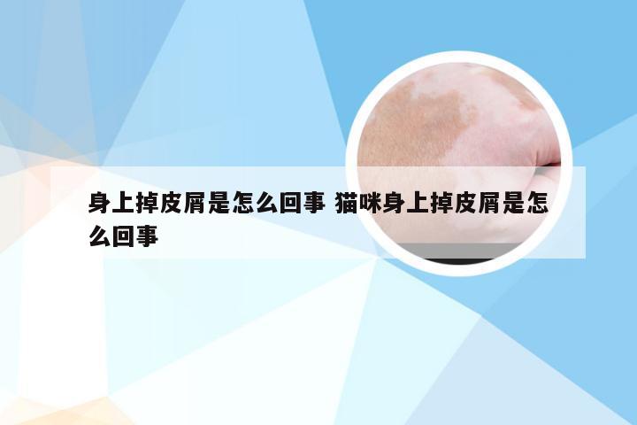 身上掉皮屑是怎么回事 猫咪身上掉皮屑是怎么回事