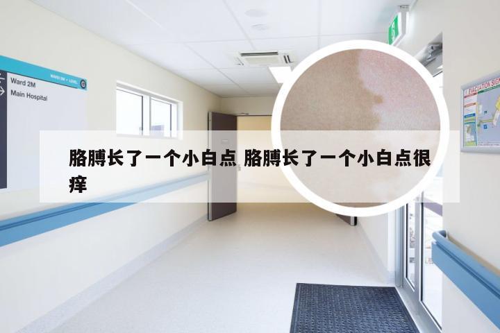 胳膊长了一个小白点 胳膊长了一个小白点很痒