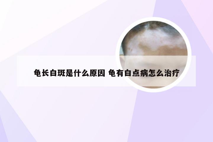 龟长白斑是什么原因 龟有白点病怎么治疗