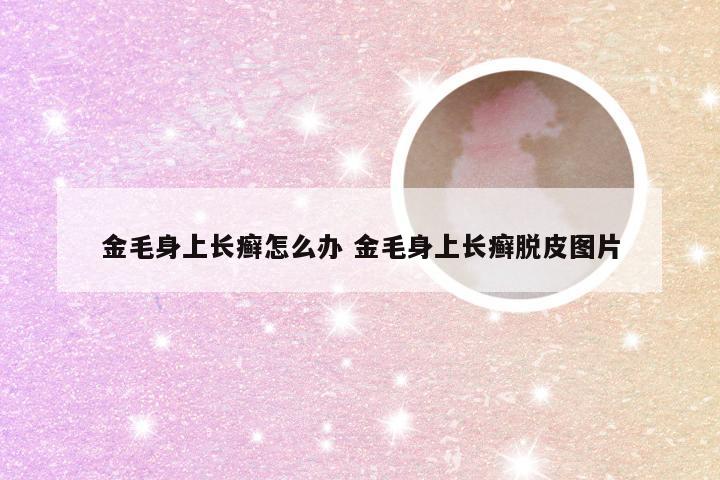 金毛身上长癣怎么办 金毛身上长癣脱皮图片