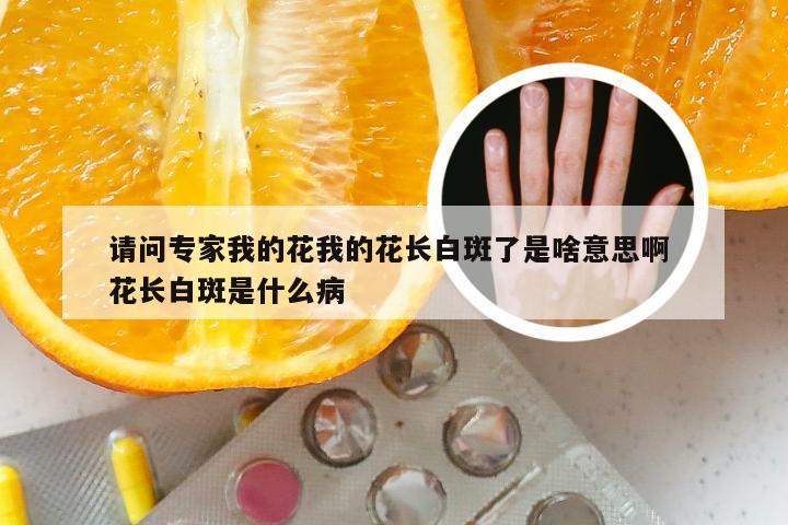 请问专家我的花我的花长白斑了是啥意思啊 花长白斑是什么病