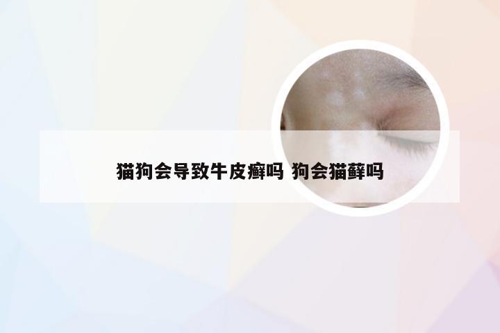 猫狗会导致牛皮癣吗 狗会猫藓吗
