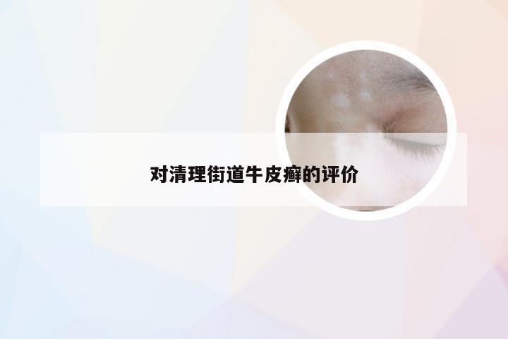 对清理街道牛皮癣的评价